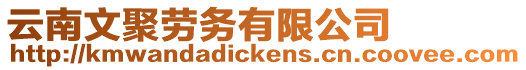 云南文聚勞務(wù)有限公司