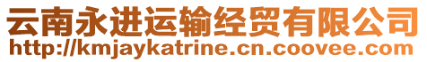 云南永進(jìn)運(yùn)輸經(jīng)貿(mào)有限公司