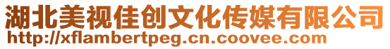 湖北美視佳創文化傳媒有限公司
