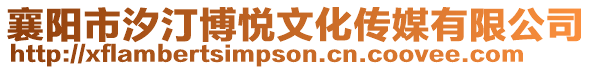 襄陽市汐汀博悅文化傳媒有限公司