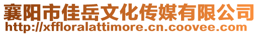 襄陽市佳岳文化傳媒有限公司