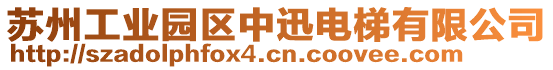 蘇州工業(yè)園區(qū)中迅電梯有限公司