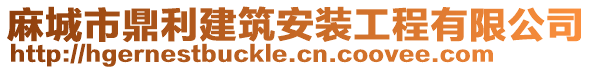 麻城市鼎利建筑安裝工程有限公司