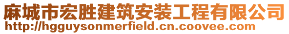麻城市宏勝建筑安裝工程有限公司