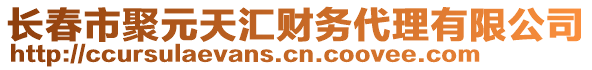 長春市聚元天匯財(cái)務(wù)代理有限公司