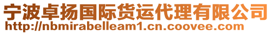 寧波卓揚國際貨運代理有限公司