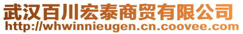 武漢百川宏泰商貿(mào)有限公司