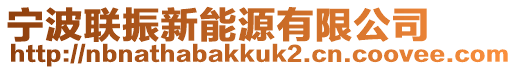 寧波聯(lián)振新能源有限公司