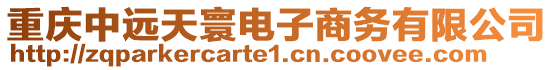 重慶中遠天寰電子商務有限公司
