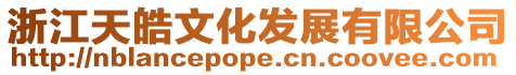 浙江天皓文化發展有限公司