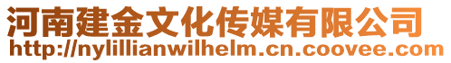 河南建金文化傳媒有限公司