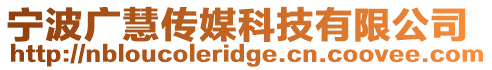 寧波廣慧傳媒科技有限公司
