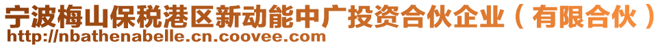 寧波梅山保稅港區(qū)新動(dòng)能中廣投資合伙企業(yè)（有限合伙）