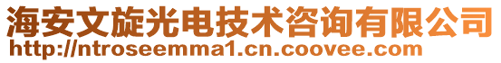 海安文旋光電技術(shù)咨詢(xún)有限公司