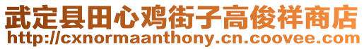 武定縣田心雞街子高俊祥商店