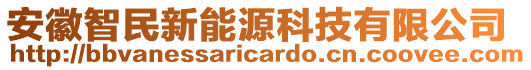 安徽智民新能源科技有限公司