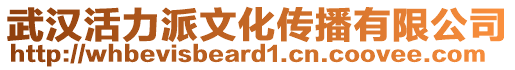 武漢活力派文化傳播有限公司