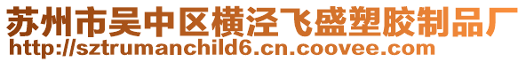 蘇州市吳中區(qū)橫涇飛盛塑膠制品廠