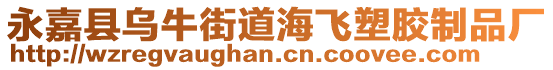 永嘉縣烏牛街道海飛塑膠制品廠