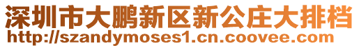 深圳市大鵬新區(qū)新公莊大排檔