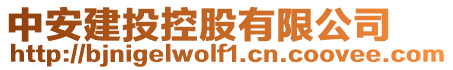 中安建投控股有限公司