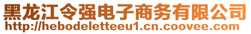 黑龍江令強(qiáng)電子商務(wù)有限公司