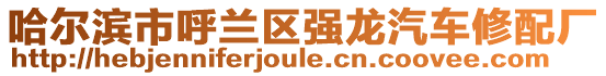 哈爾濱市呼蘭區(qū)強(qiáng)龍汽車修配廠