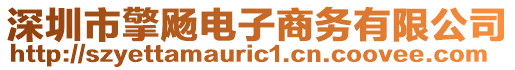 深圳市擎飏電子商務(wù)有限公司