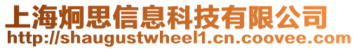 上海炯思信息科技有限公司