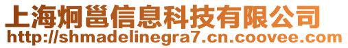 上海炯邕信息科技有限公司