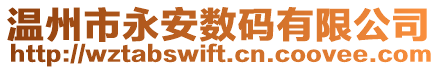 溫州市永安數碼有限公司