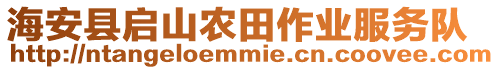 海安縣啟山農(nóng)田作業(yè)服務(wù)隊(duì)
