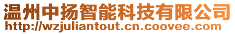 溫州中揚(yáng)智能科技有限公司