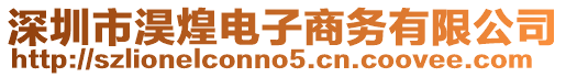 深圳市淏煌電子商務(wù)有限公司