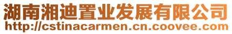 湖南湘迪置業發展有限公司