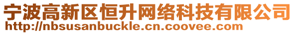 寧波高新區(qū)恒升網(wǎng)絡(luò)科技有限公司