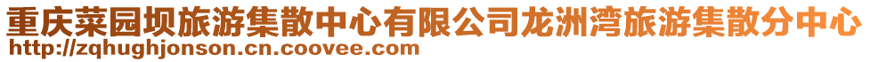 重慶菜園壩旅游集散中心有限公司龍洲灣旅游集散分中心