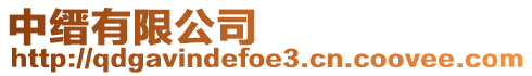中縉有限公司