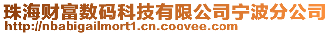 珠海財富數碼科技有限公司寧波分公司