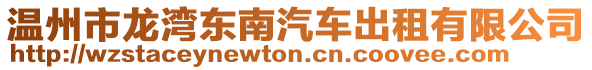 溫州市龍灣東南汽車出租有限公司