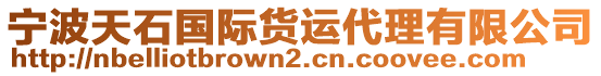 寧波天石國際貨運代理有限公司