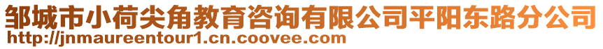 鄒城市小荷尖角教育咨詢有限公司平陽東路分公司