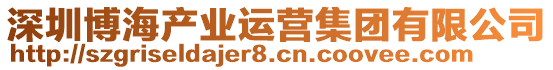 深圳博海產(chǎn)業(yè)運營集團(tuán)有限公司