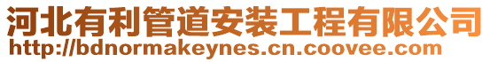河北有利管道安裝工程有限公司