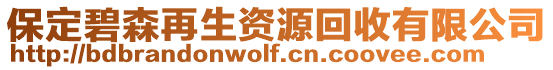 保定碧森再生資源回收有限公司