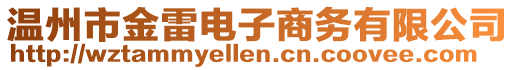 溫州市金雷電子商務(wù)有限公司