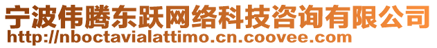 寧波偉騰東躍網(wǎng)絡(luò)科技咨詢有限公司