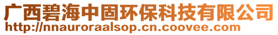 廣西碧海中固環(huán)保科技有限公司