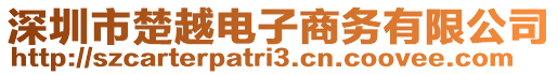 深圳市楚越電子商務(wù)有限公司