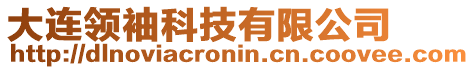 大連領袖科技有限公司